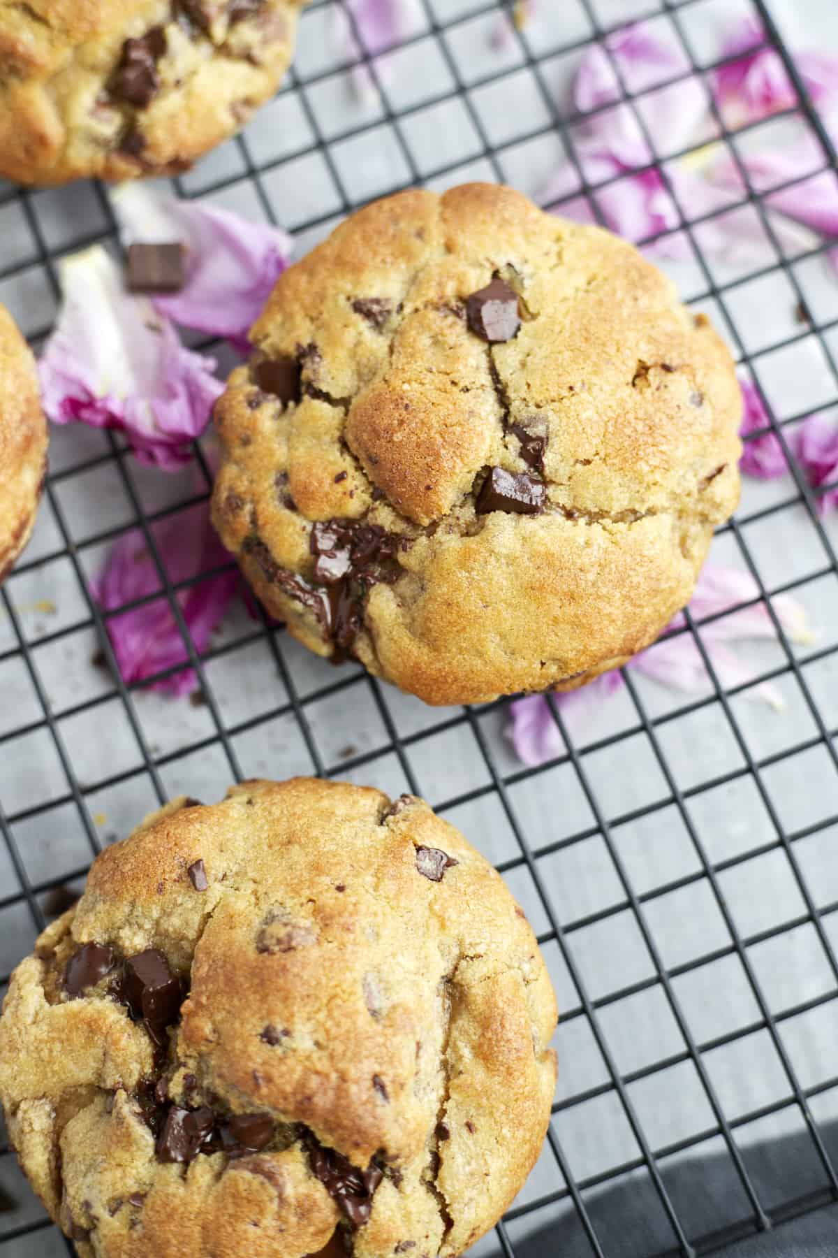 ultimate chocolate chip cookies in a cooling rack