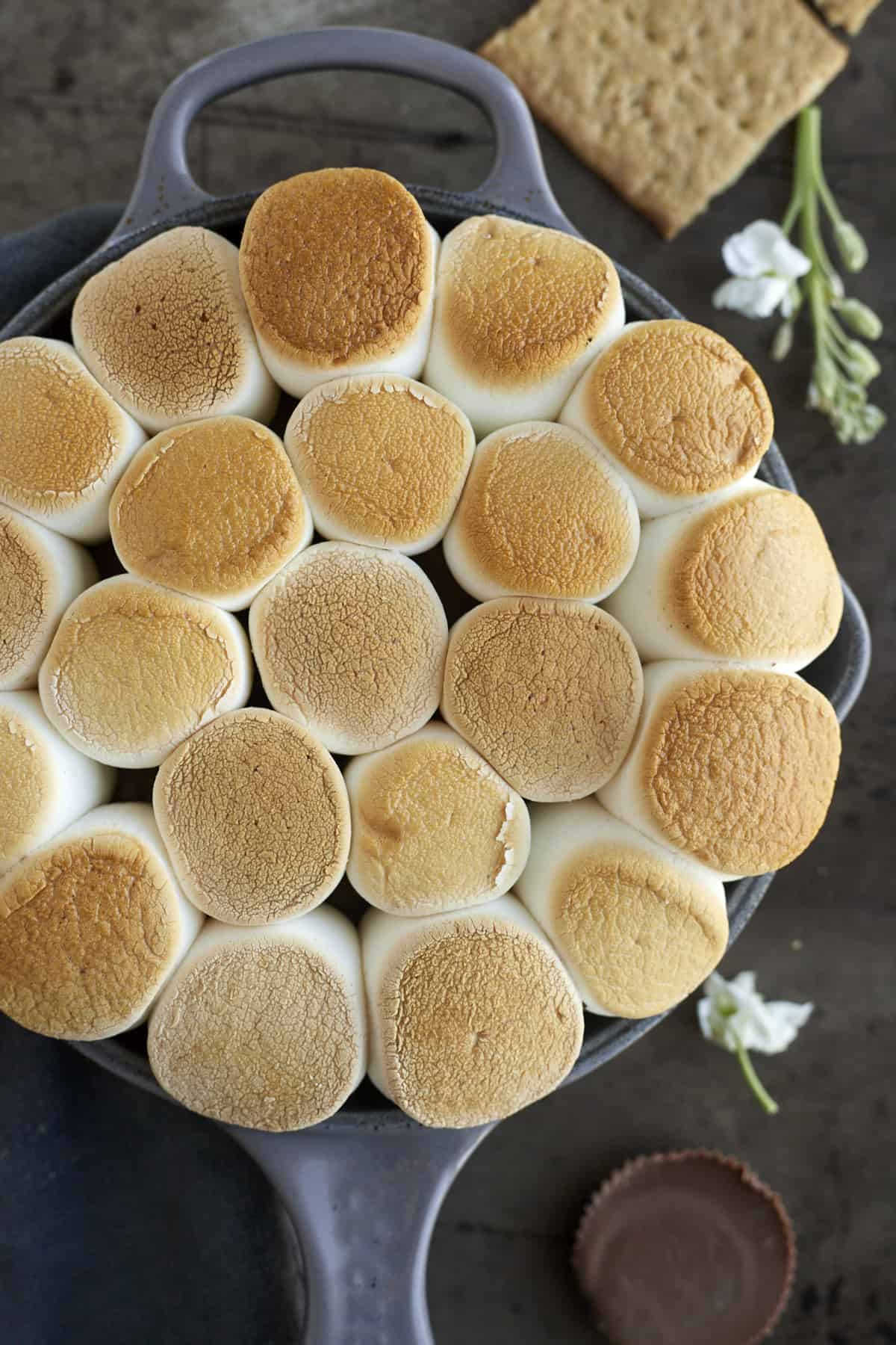 Overhead image of toasted marshmallows in a skillet.