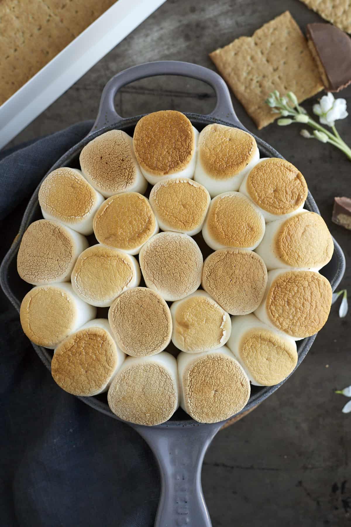 overhead image of peanut butter lovers' s'mores dip topped with toasted marshmallows.