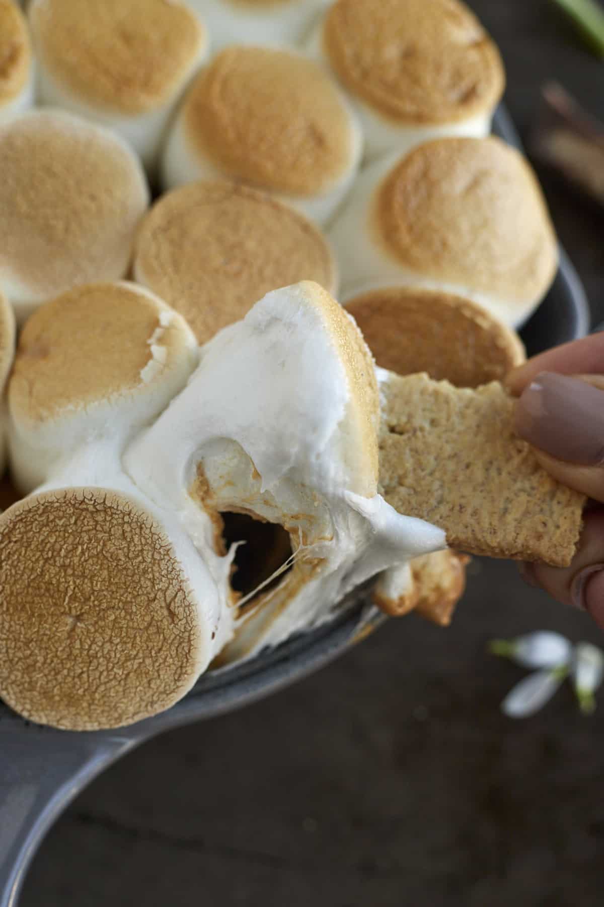 a graham cracker being dipped into peanut butter lovers' s'mores dip.