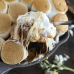 peanut butter s'mores dip being scooped with a spoon.