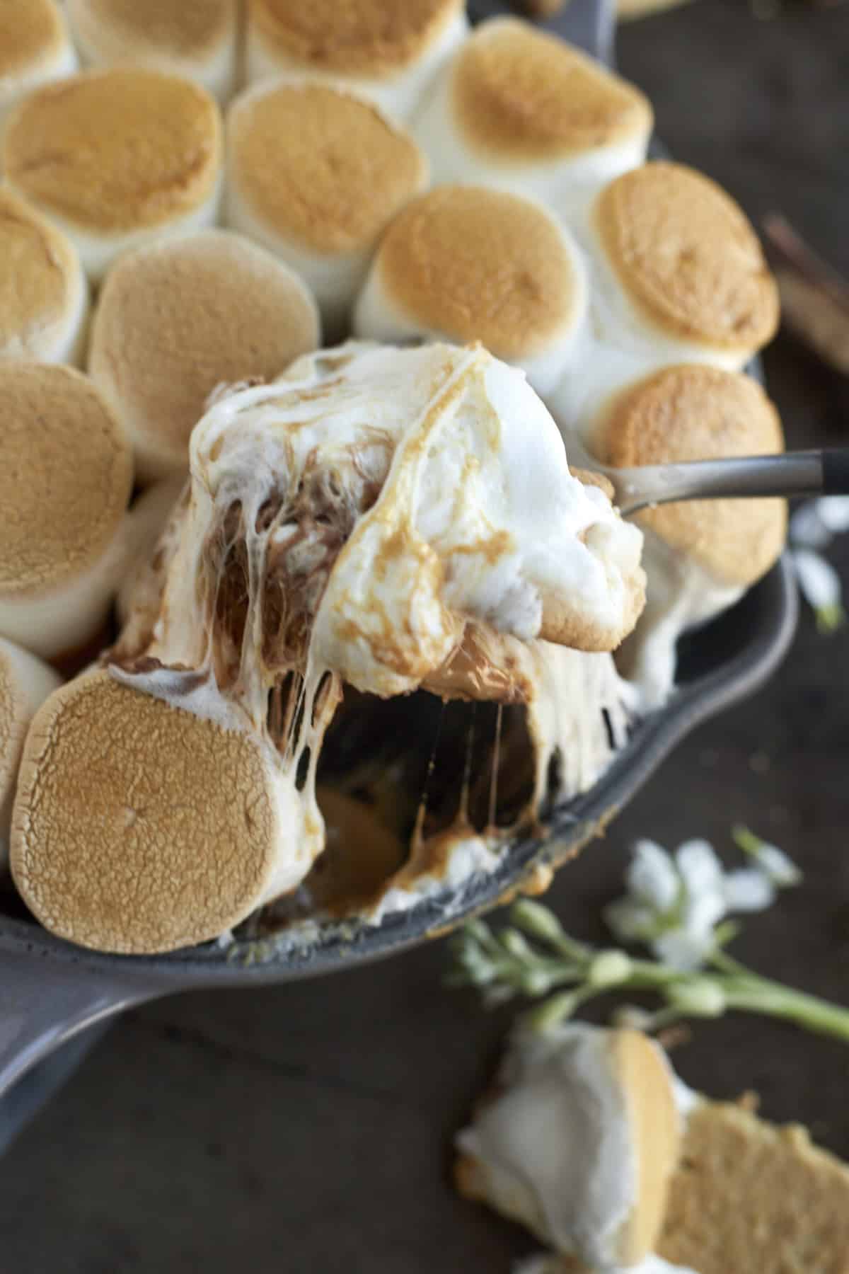 peanut butter s'mores dip being lifted from a skillet with a spoon.