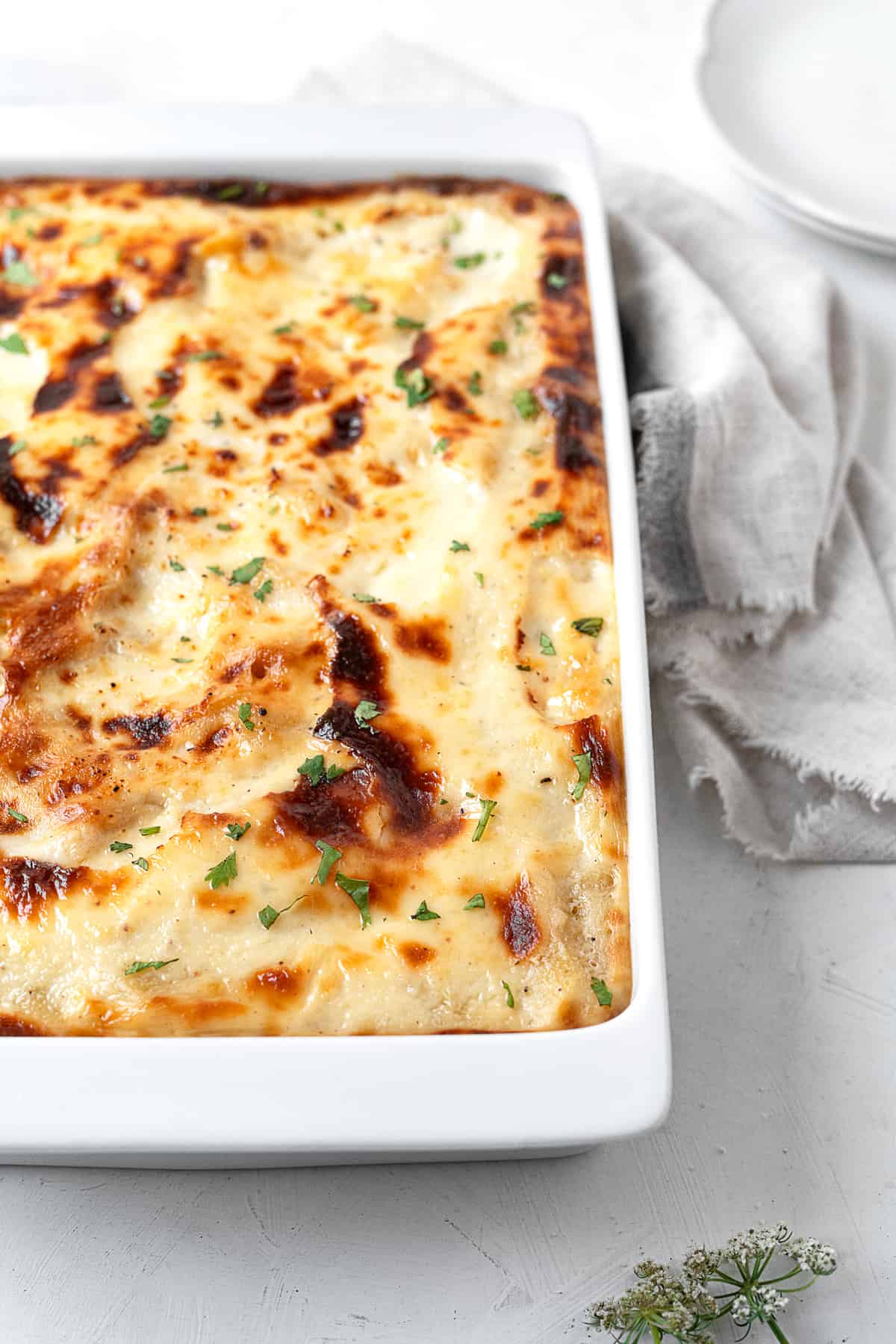 a casserole dish full of baked penne with bechamel sauce