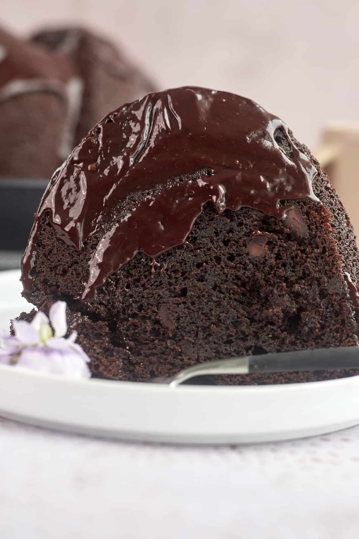 side image of bundt cake with chocolate chips, chocolate batter, and chocolate topping