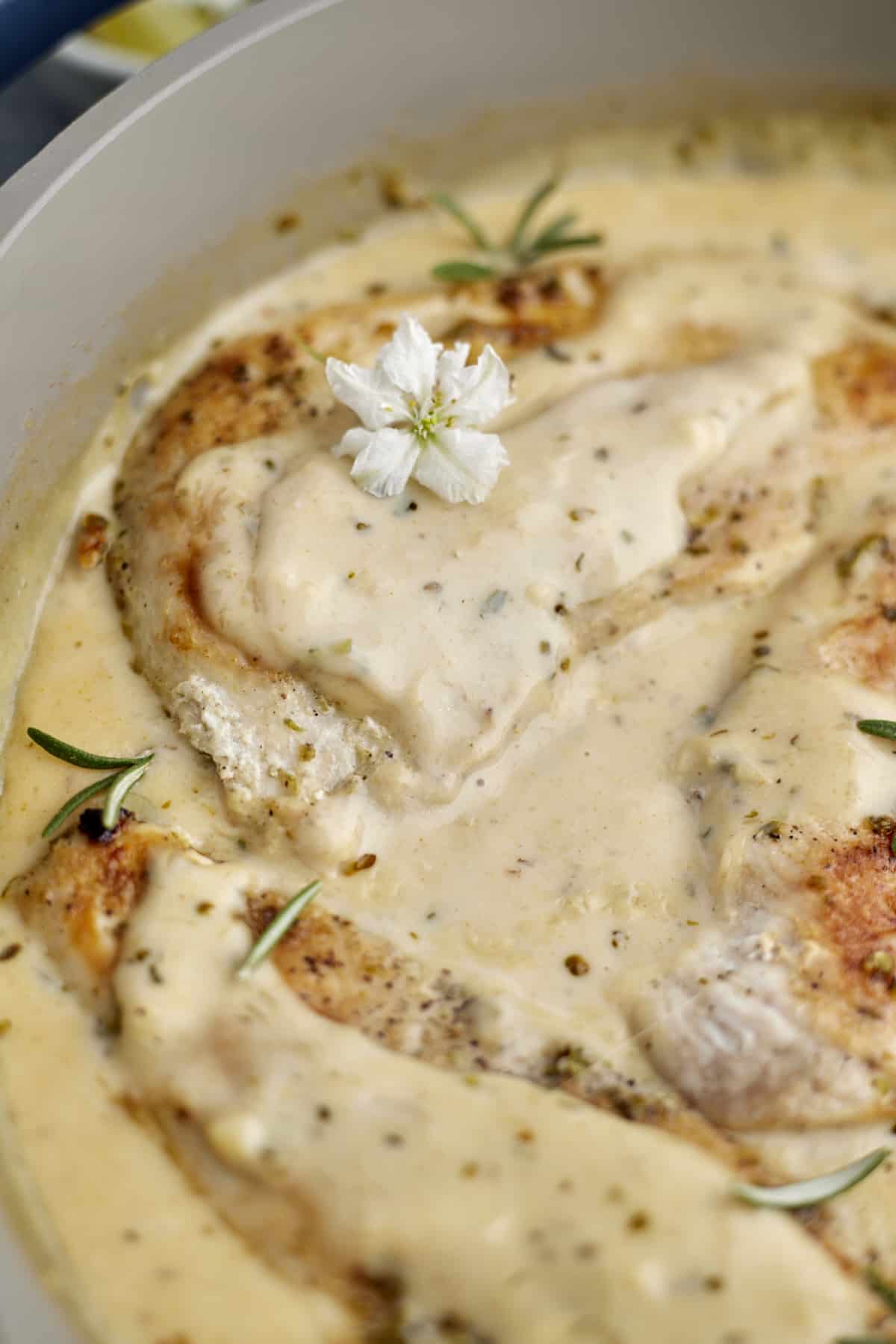 close up image of creamy herb chicken topped with fresh herbs and white edible flowers.