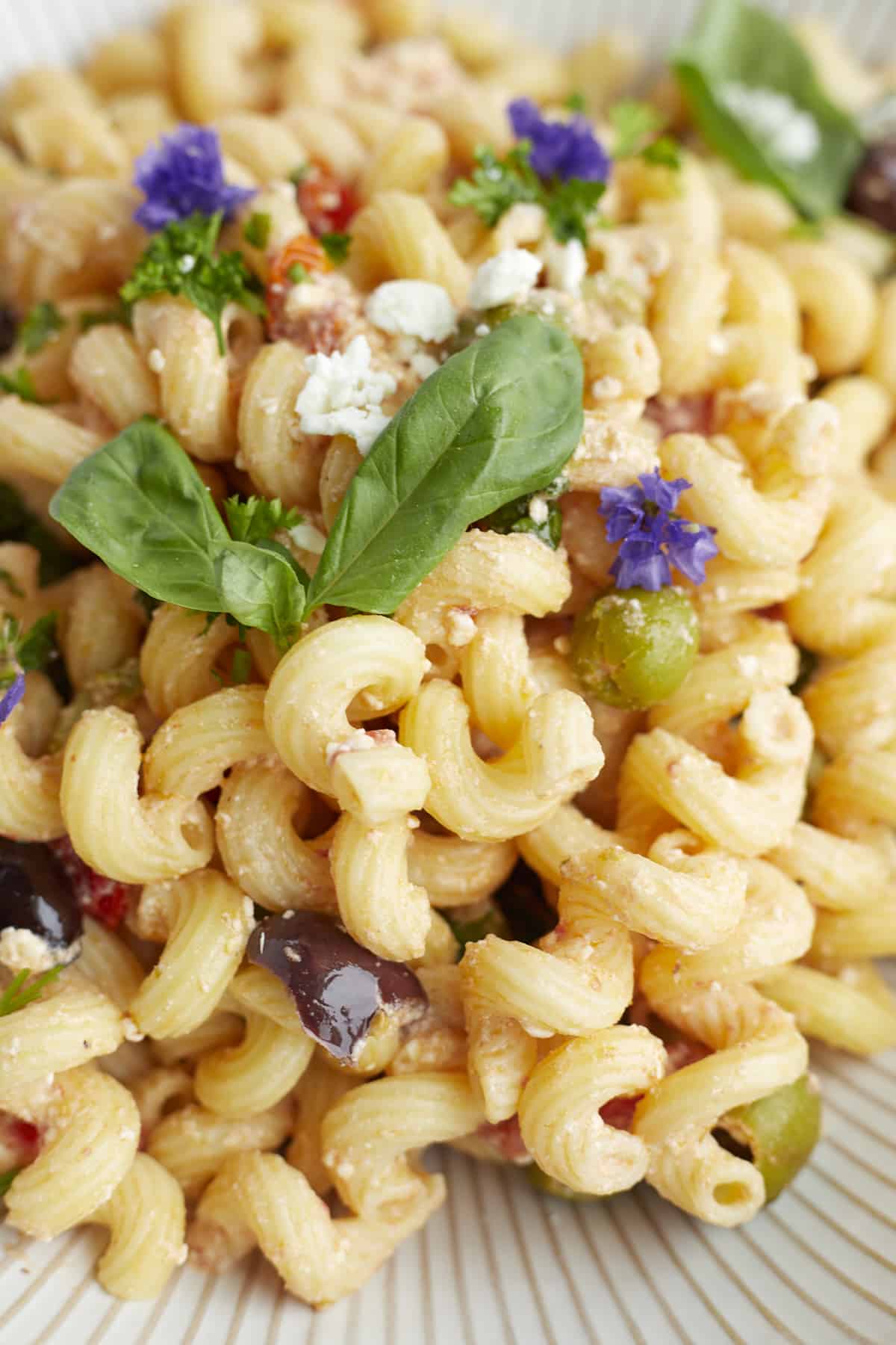 close up image of tomato and feta pasta topped with fresh herbs