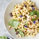 a white bowl full of tomato and feta pasta