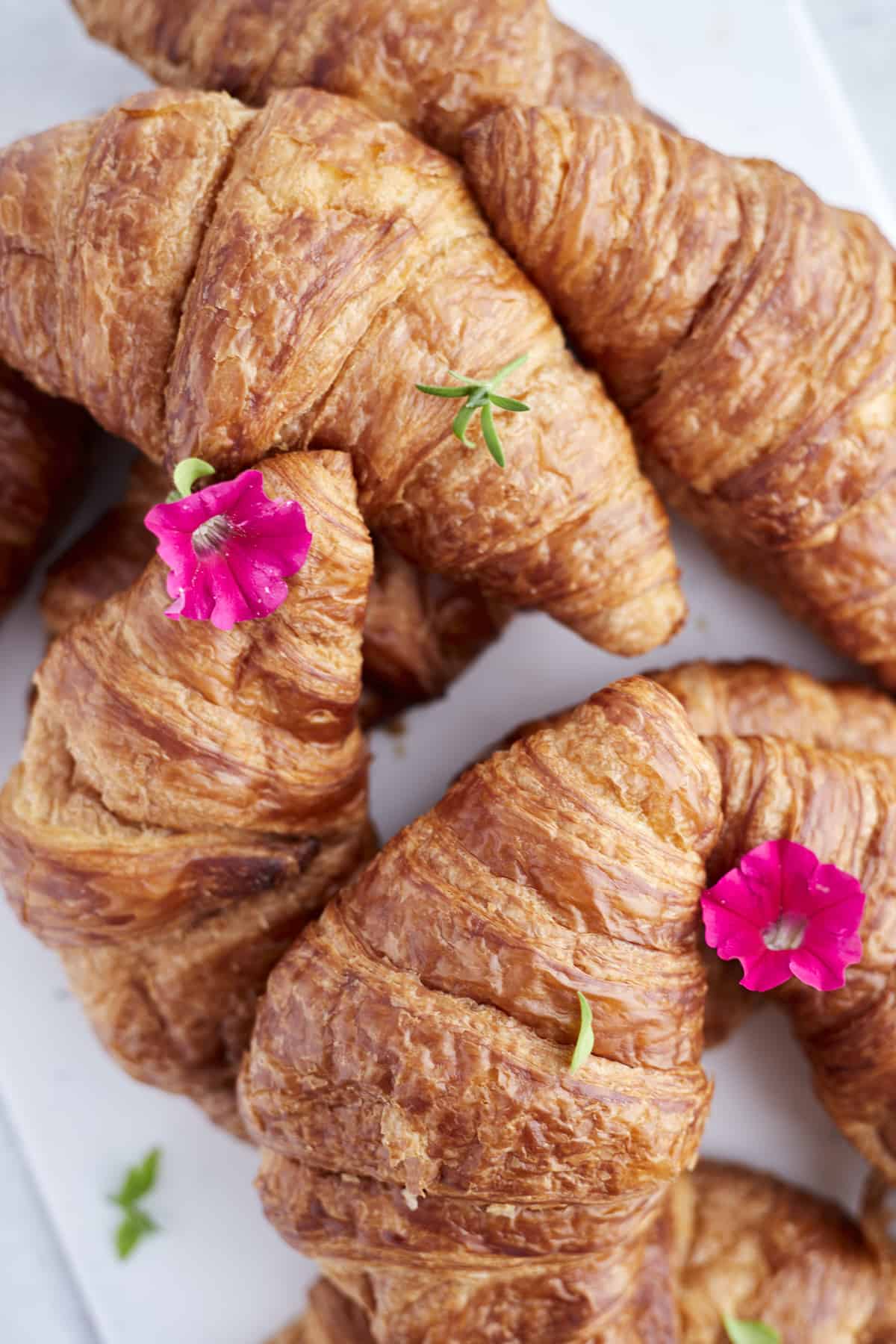 a close up image of large croissants