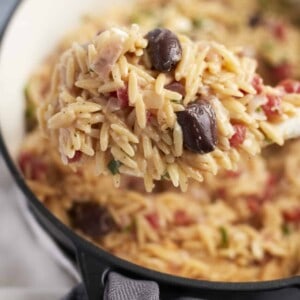 a spoonful of Mediterranean Orzo Pasta