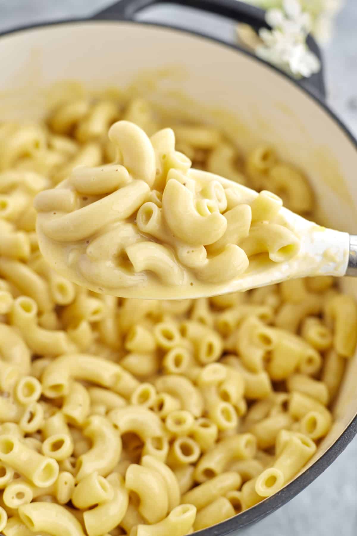 one pot mac and cheese with a spoon holding a scoop over the pot