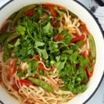 Overhead image of a bowl of vegetarian ramen topped with fresh cilantro.