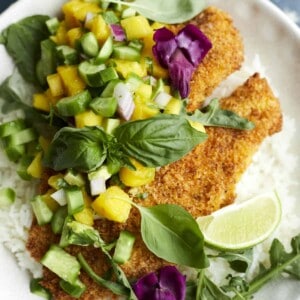 a plate full of tilapia and mango salsa over a bed of rice