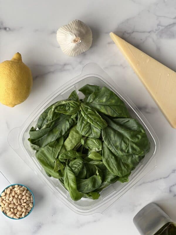 basil leaves, a head of garlic, a whole lemon, pine nuts, and a block of Parmesan