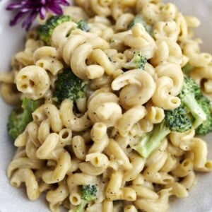 a bowl of one pot broccoli mac and cheese