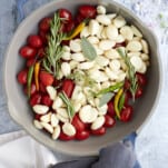 overhead pan with tomatoes, chili peppers, garlic, and herbs