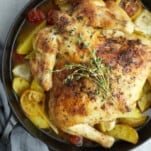 overhead of roasted chicken and vegetables in a pan