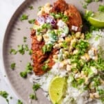 a plate of chipotle chicken with elote corn salad over a bed of rice