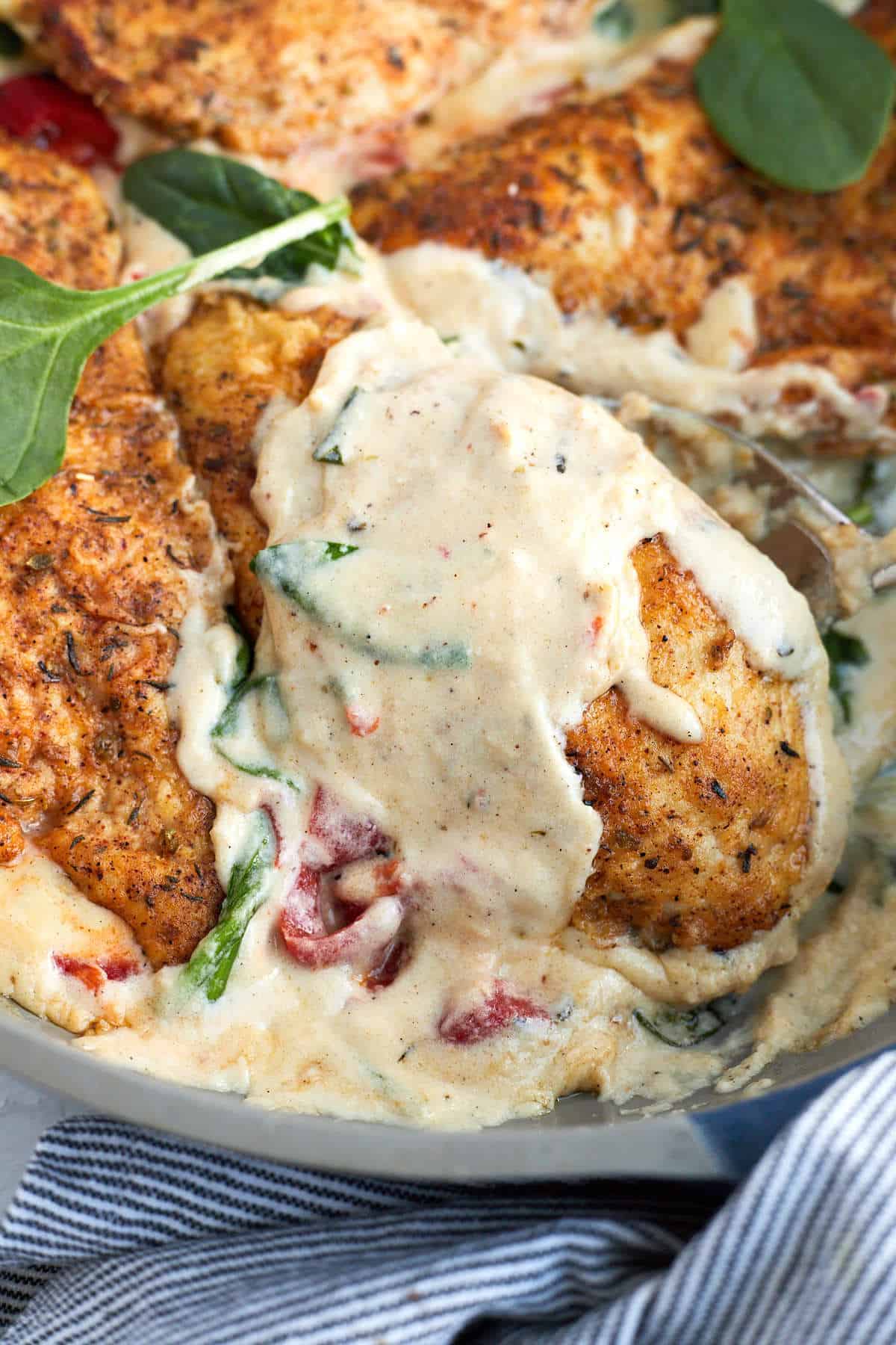 Close up image of a cream chicken recipe in a skillet. 