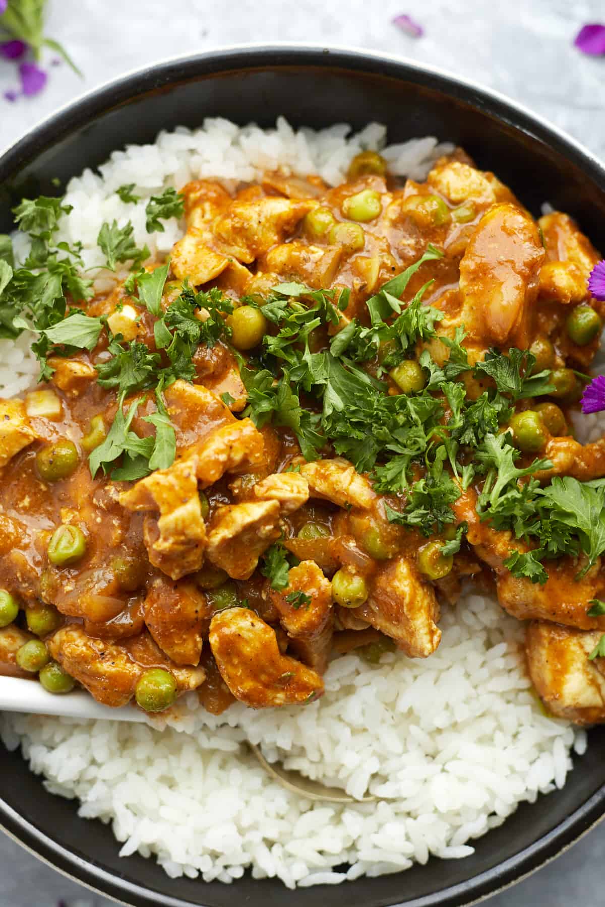overhead madras curry chicken in a pan