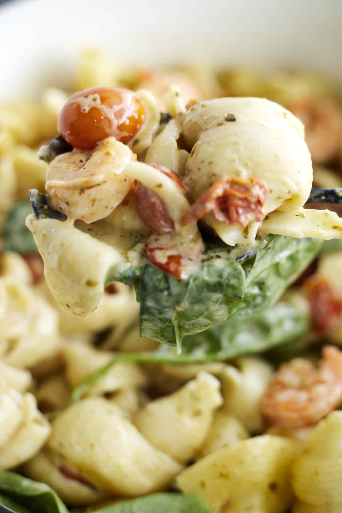 close up image of a scoop of one pot pesto pasta with shrimp