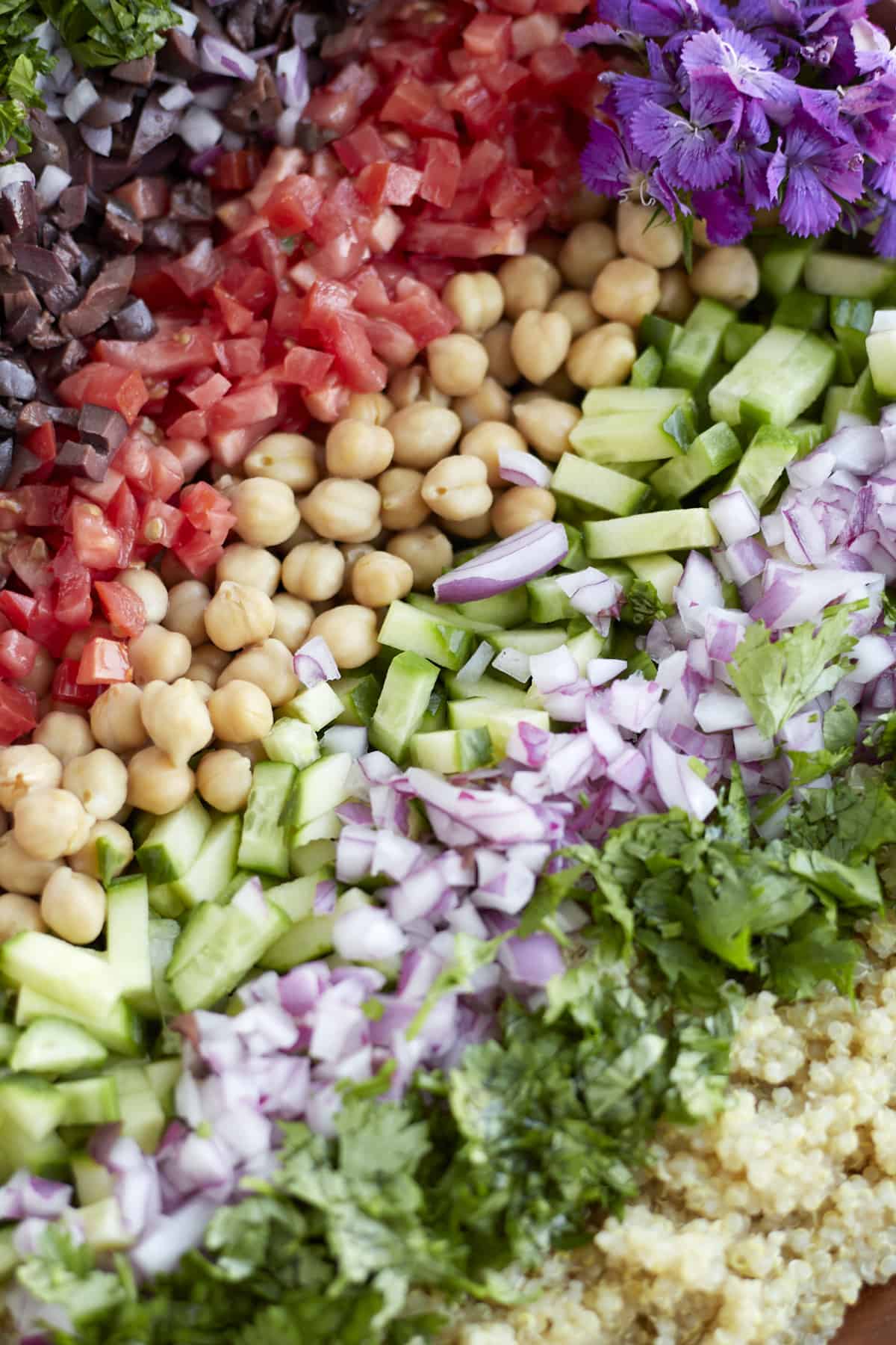 close up image of a Mediterranean Quinoa Salad with fresh herbs, olive, tomatoes, chickpeas, cucumber, red onion, and quinoa 