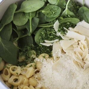 pasta shells, spinach, and Parmesan in a pot to make one pot lemon garlic pasta