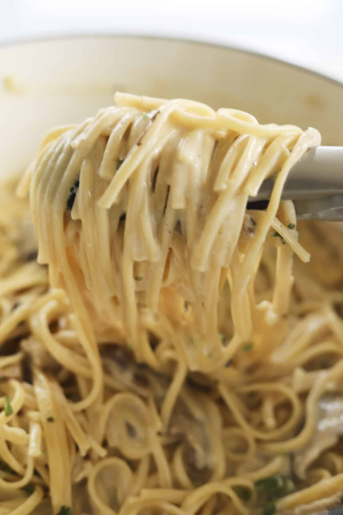 scoop of spaghetti tetrazzini with tongs 