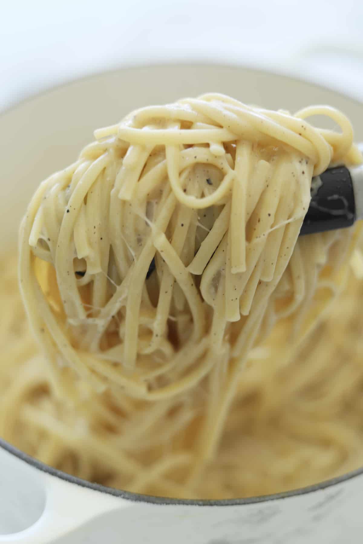 scoopful of pasta 