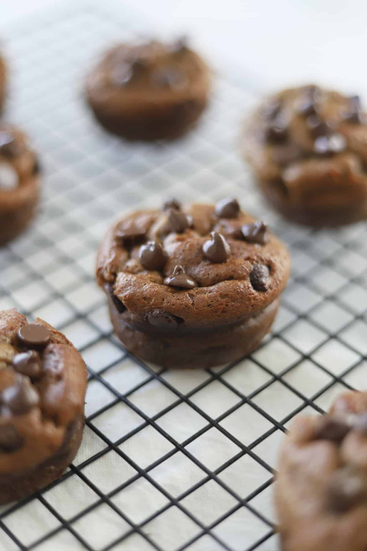 biscoff blender muffins topped with chocolate chips on a wire rack 