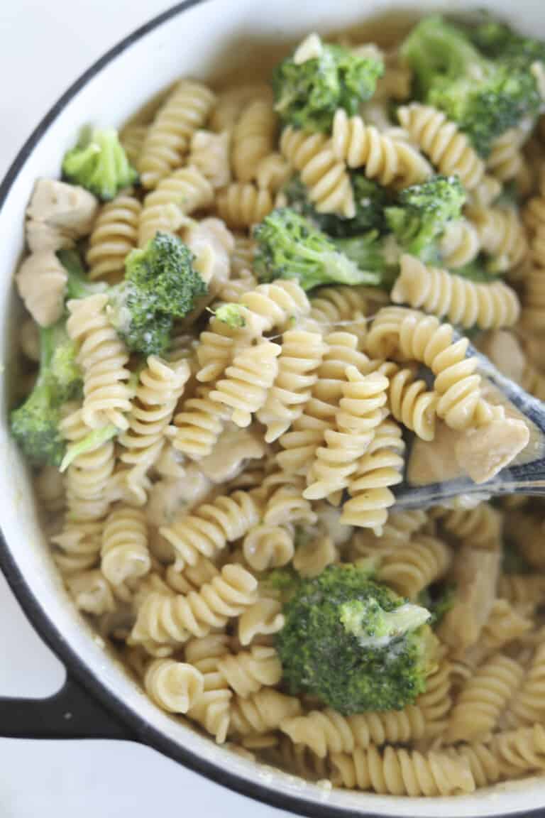One Pot Chicken Broccoli Rotini - Food Dolls