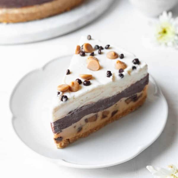 slice of chocolate peanut butter pie on a plate with chocolate chips and peanut butter chips.