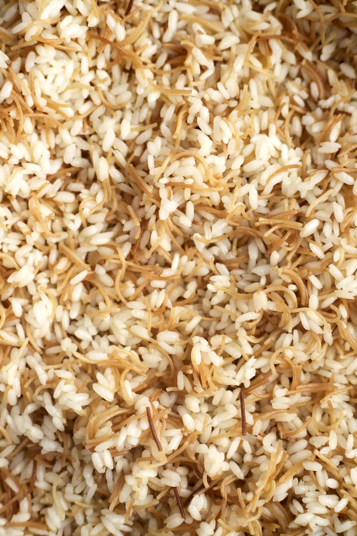 close up image of vermicelli rice