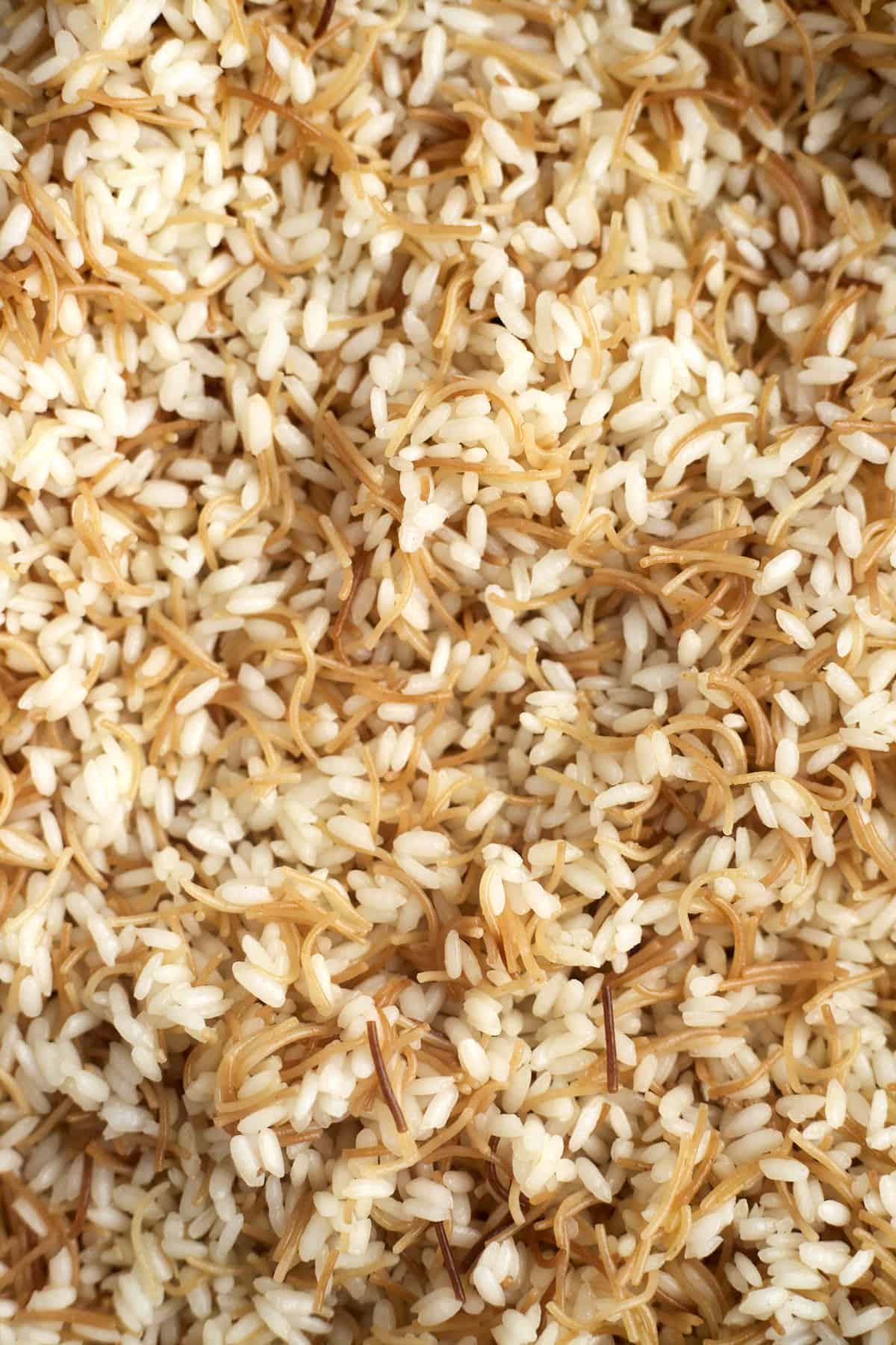 close up image of vermicelli rice.