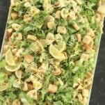 overhead image of a white serving platter full of pesto pasta salad made with lettuce, noodles, croutons, and Parmesan