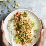 two hands holding a plate full of asian chicken with rice.
