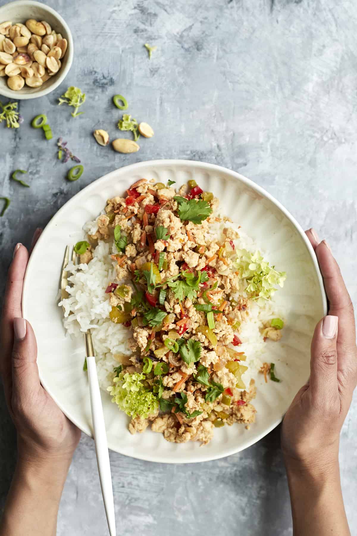 two hands holding a plate full of asian chicken with rice.