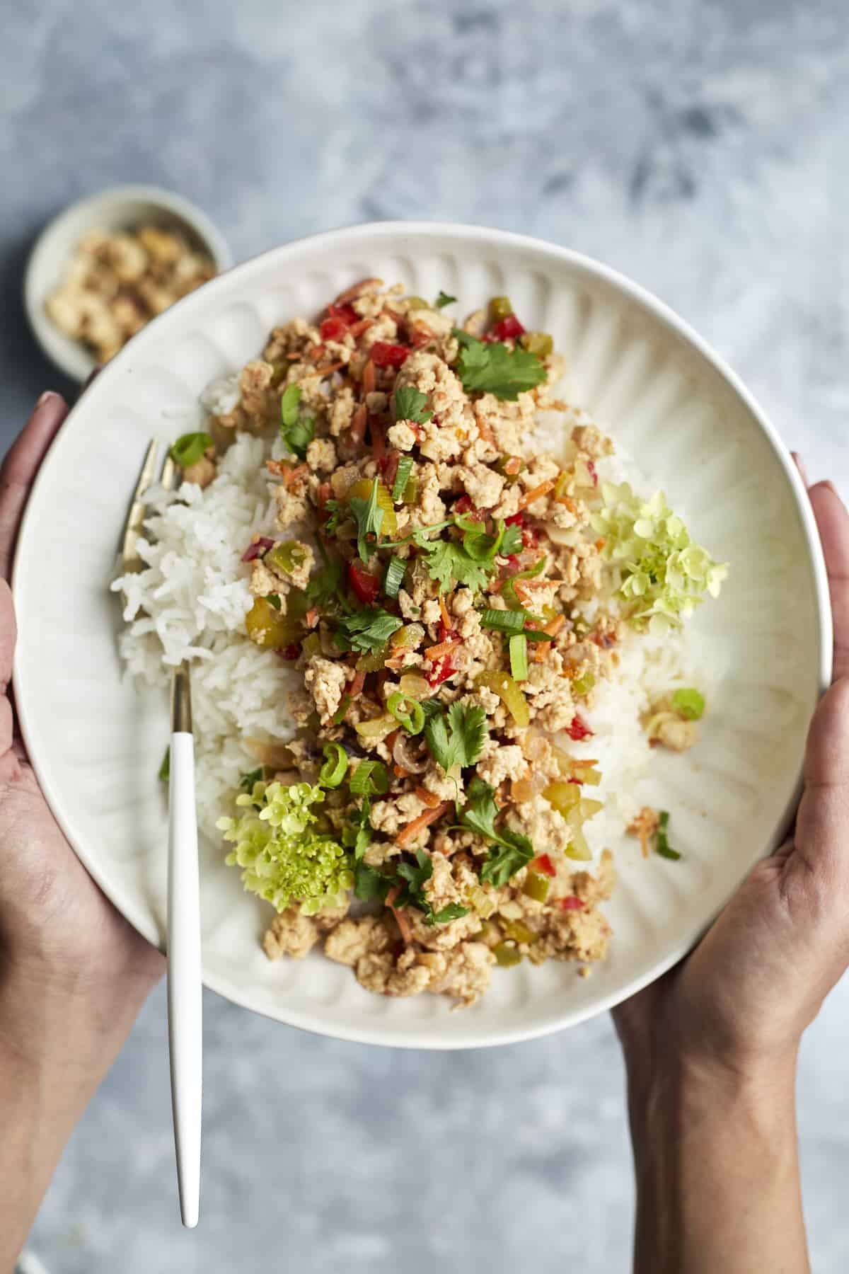 two hands holding a white plate with white rice topped with Asian chicken and a fork on the side.