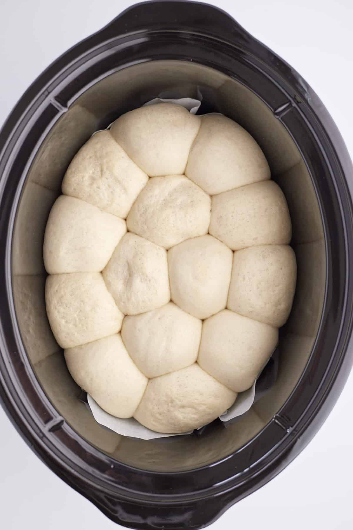 overhead image of partially baked dinner rolls in the bottom of a slow cooker
