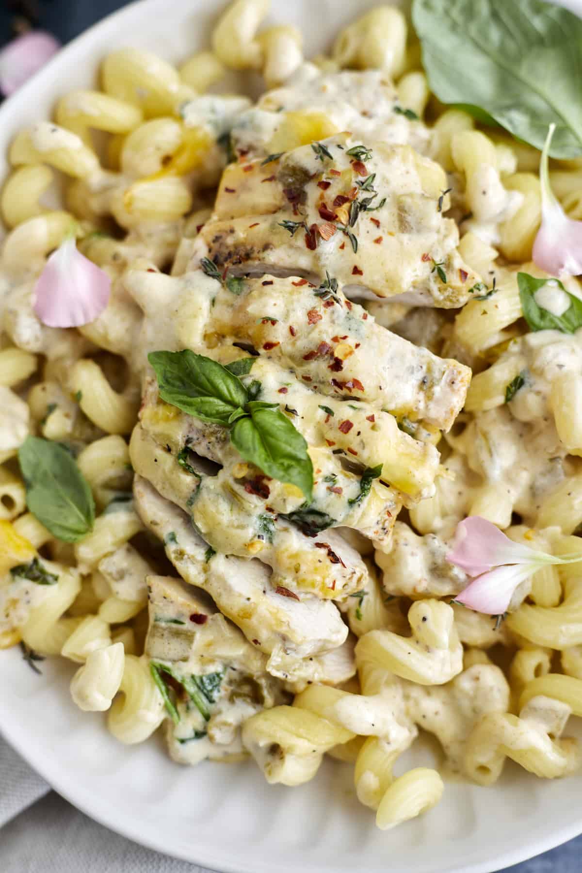 overhead image of baked cheesy chicken over cavatappi pasta noodles on a white plate