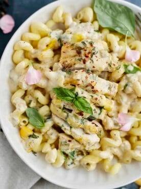 easy cheesy baked chicken recipe on a white plate served over cavatappi noodles