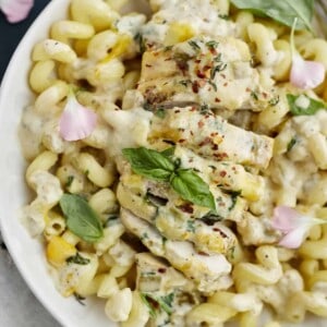 easy cheesy baked chicken recipe on a white plate served over cavatappi noodles