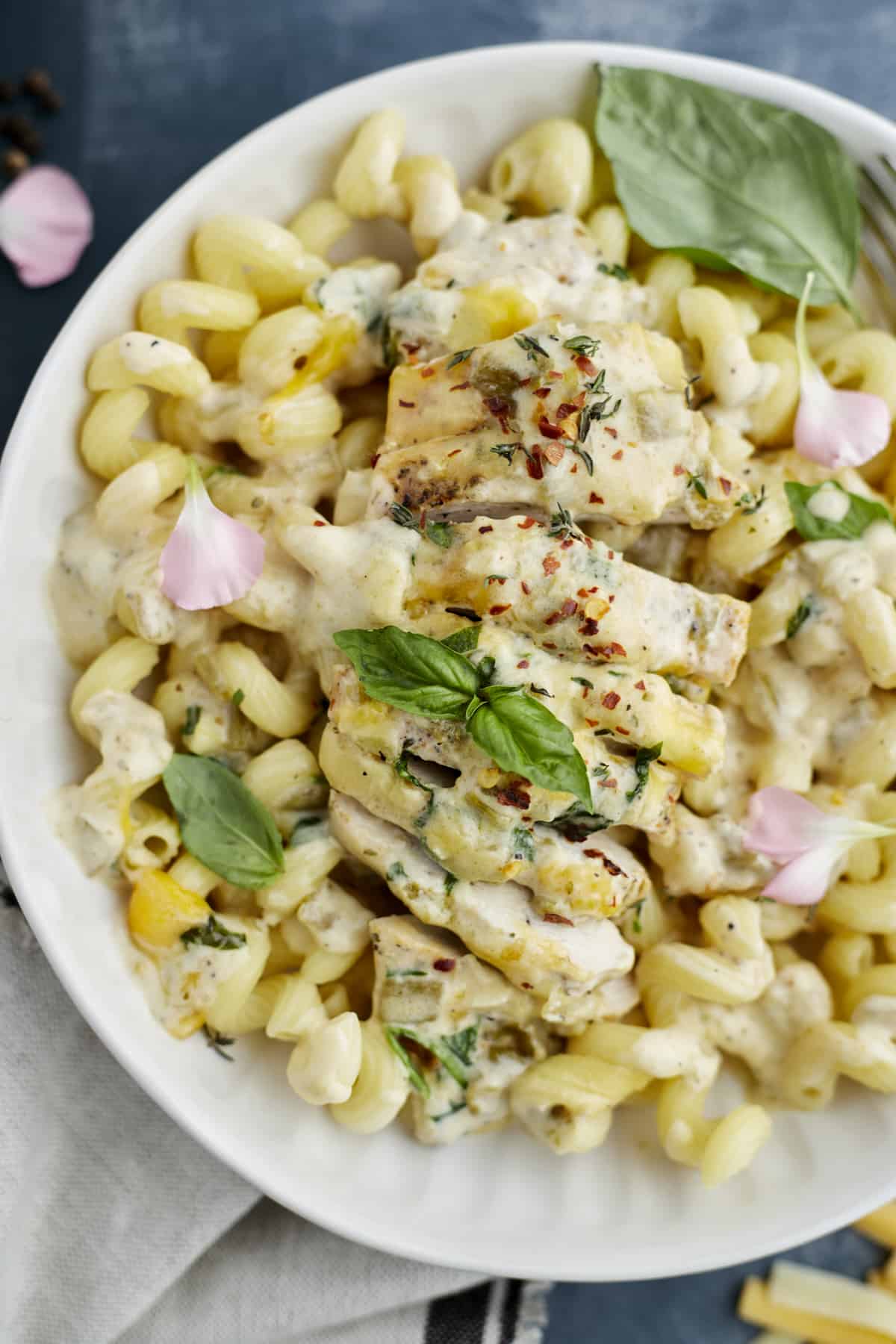easy cheesy baked chicken recipe on a white plate served over cavatappi noodles