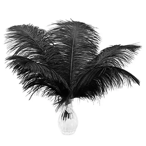 Black Ostrich Feathers