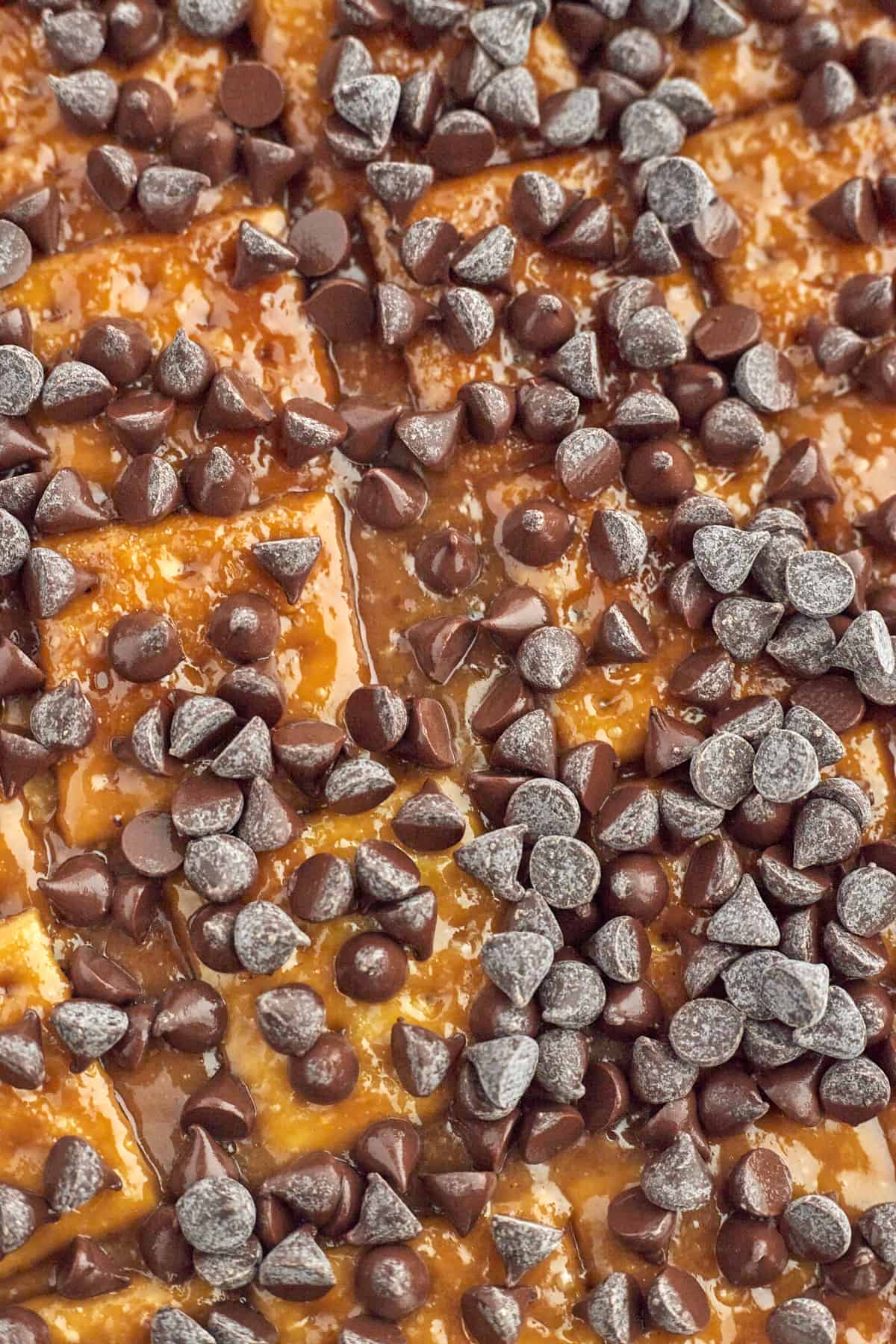 chocolate chips sprinkled on top of saltines layered with caramel sauce
