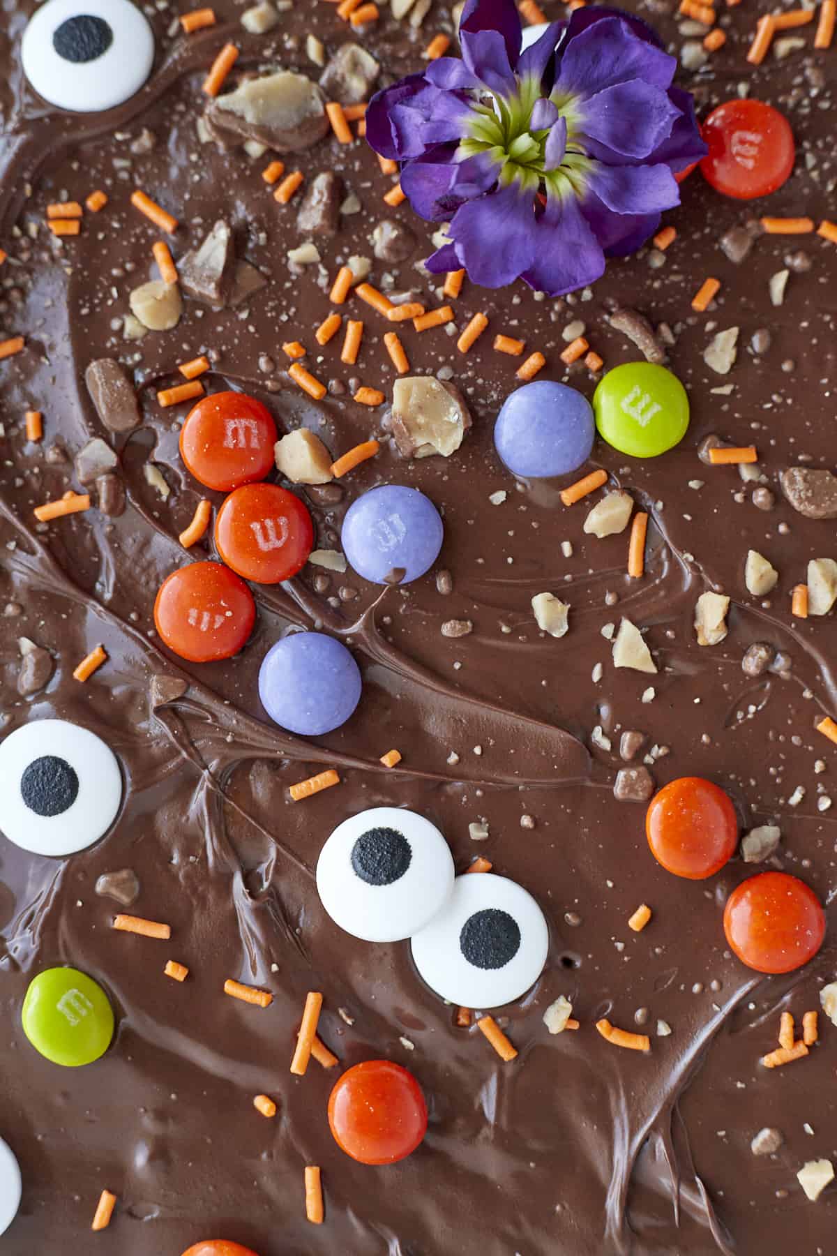 close up image of Halloween crack candy decorated with m&ms, candy eyeballs, toffee bits, and orange sprinkles