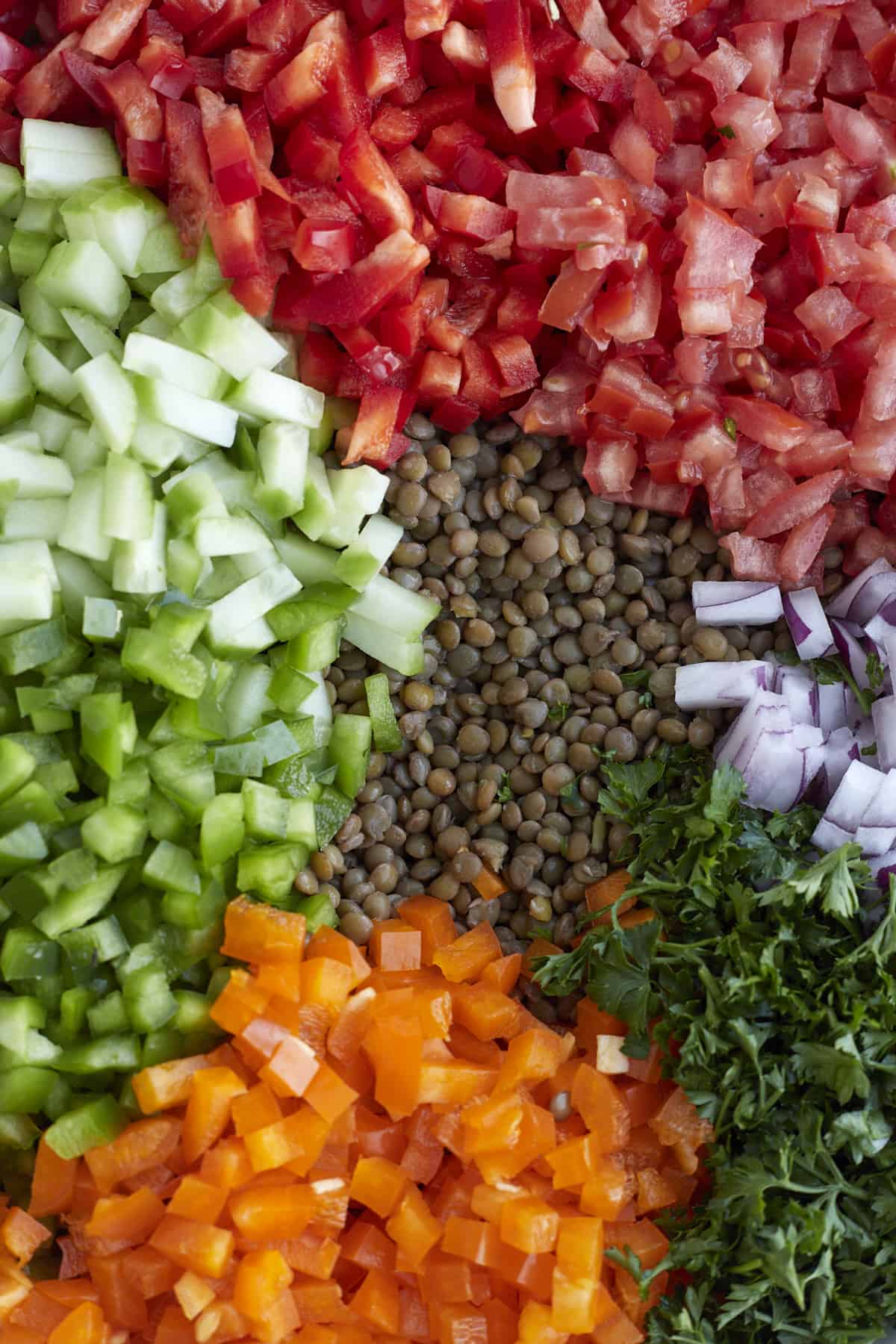 close up image of chopped tomatoes, red peppers, cucumber, green peppers, yellow peppers, parsley, red onions, and brown lentils ready to be mixed for lentil salad