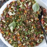 overhead image of a large white bowl full of lentil salad.