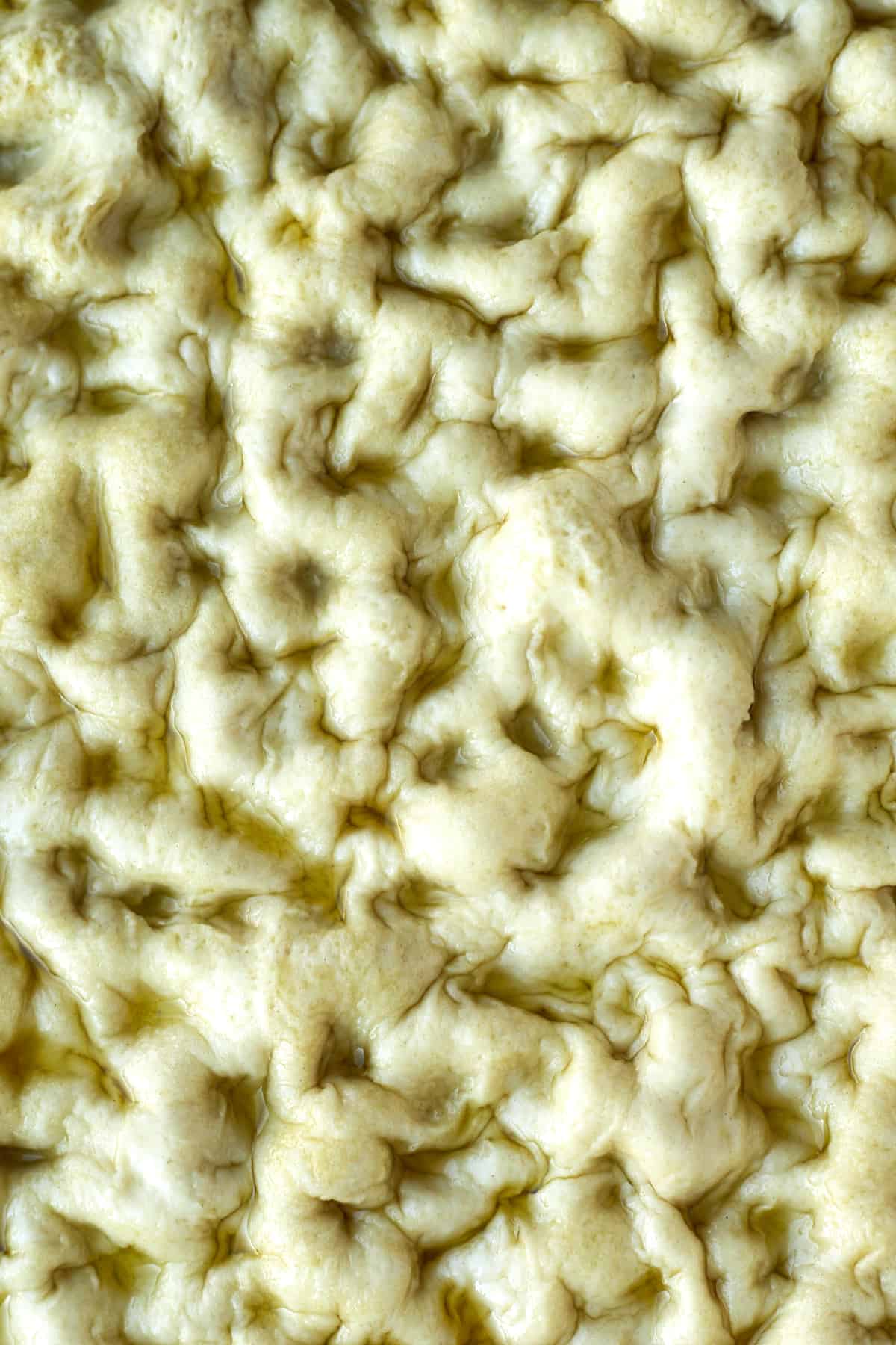 close up image of raw bread roll dough with indentations