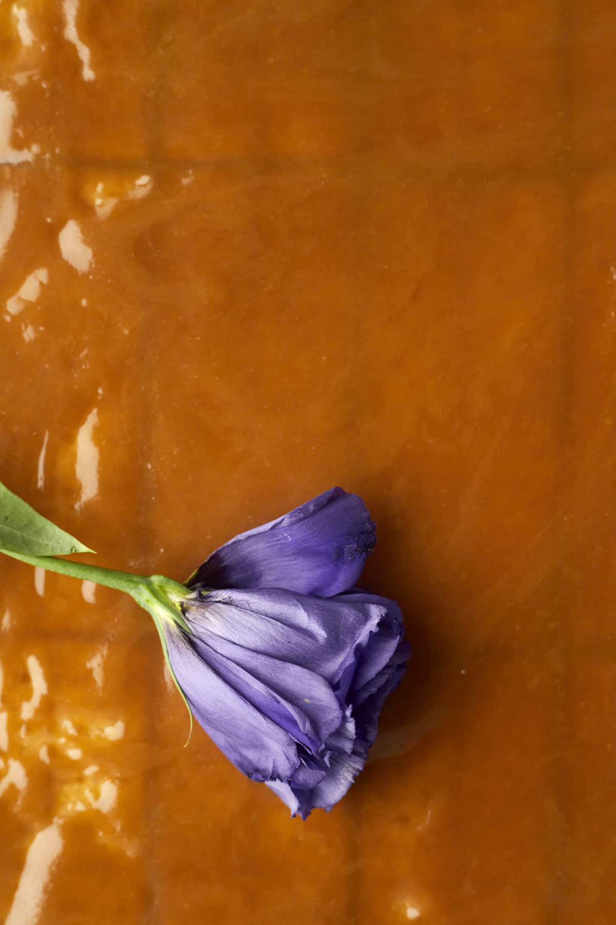 baked toffee on top of graham crackers