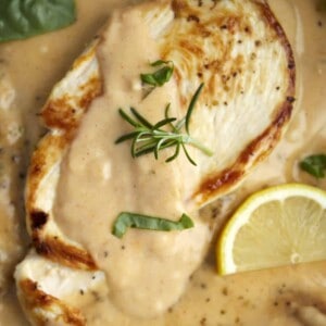 close up image of a creamy parmesan chicken breast